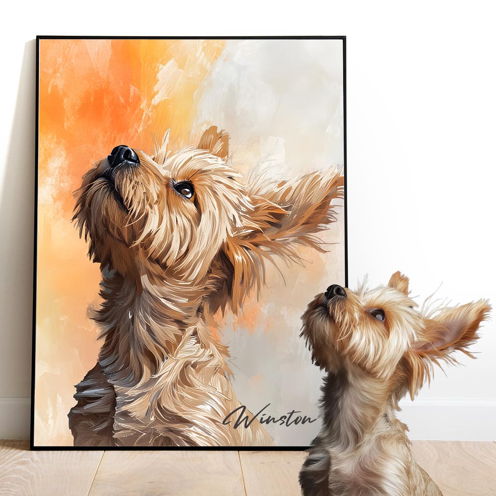 Dreamy Whiskers - Colourful