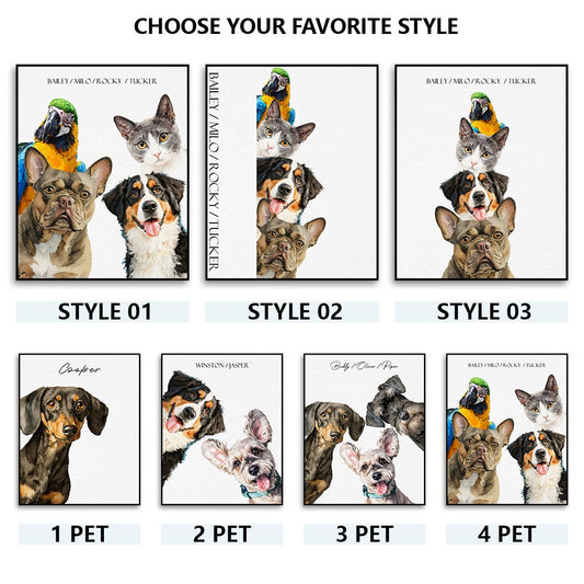 Dreamy Whiskers - JOY