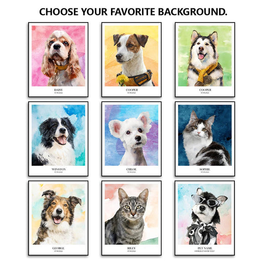 Dreamy Whiskers - Fashion